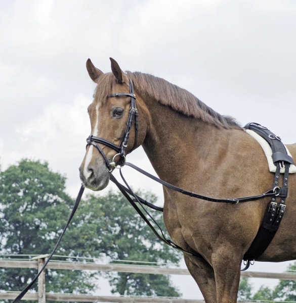 Busse Dreieckszügel Leder Pony / schwarz Busse Dreieckszügel Leder Pony / schwarz von Busse