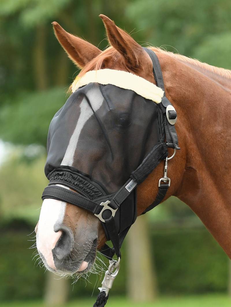 Busse Fliegenmaske Combi Schwarz, Gr. Pony Busse Fliegenmaske Combi Schwarz, Gr. Pony von Busse