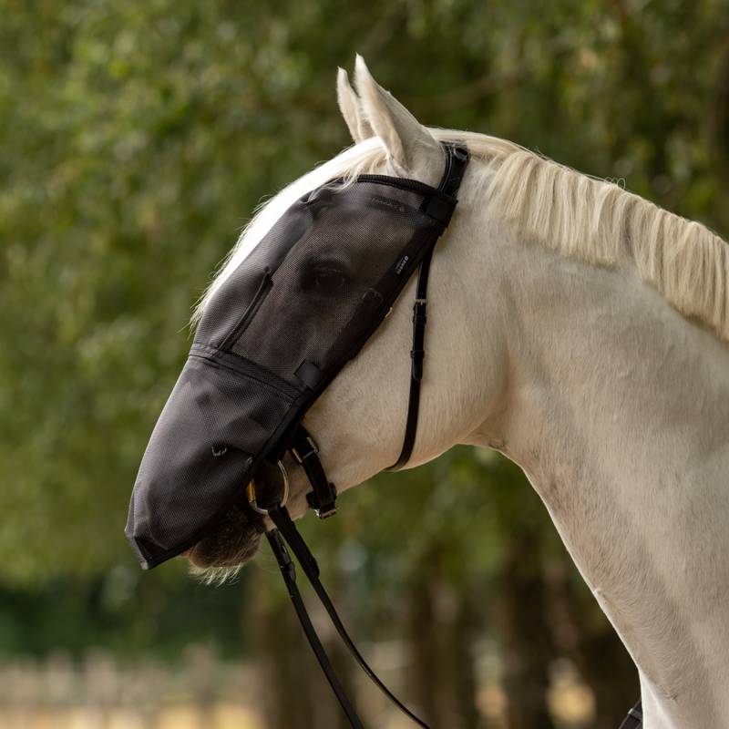 Busse Fliegenmaske Riding Plus Wb / schwarz Busse Fliegenmaske Riding Plus Wb / schwarz von Busse