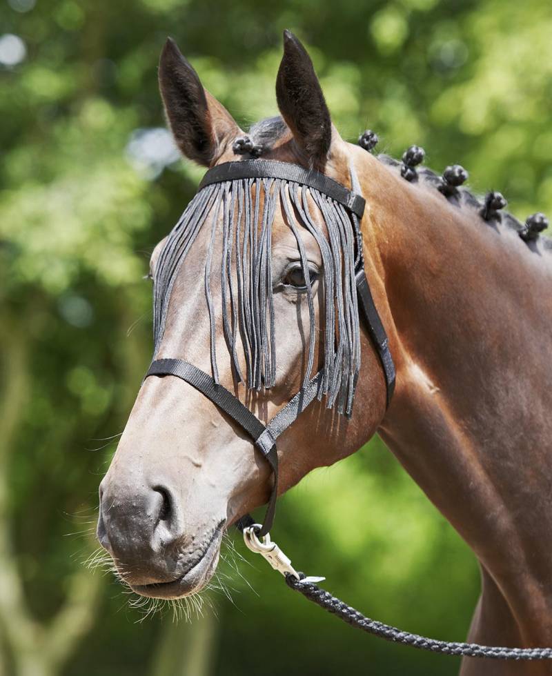 Busse Halfter Weide-Fransen Schwarz, Gr. Pony Busse Halfter Weide-Fransen Schwarz, Gr. Pony von Busse