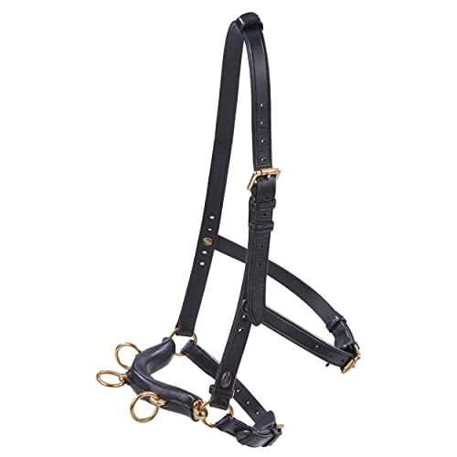 Kappzaum PROFESSIONAL von Busse