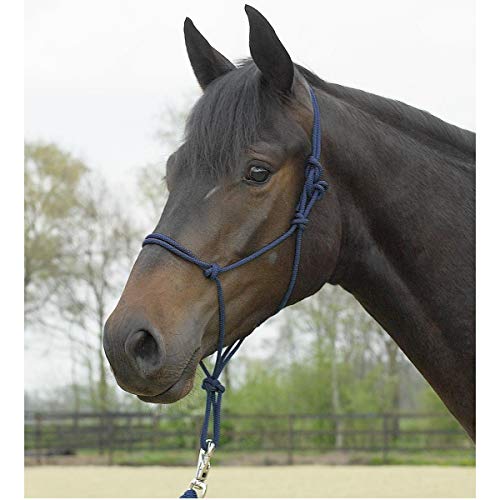 Knotenhalfter STANDARD Knotenhalfter STANDARD von Busse