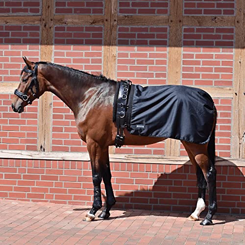 Longierdecke RAIN 50 Longierdecke RAIN 50 von Busse
