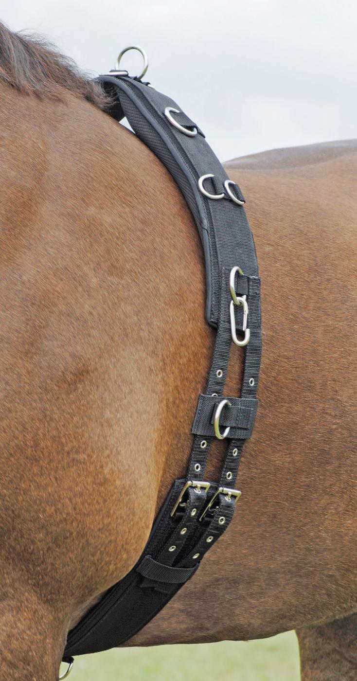 Busse Longiergurt Profi-Soft Schwarz, Gr. Pony Busse Longiergurt Profi-Soft Schwarz, Gr. Pony von Busse