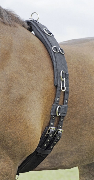 Busse Longiergurt Profi-Soft Schwarz, Gr. Wb Busse Longiergurt Profi-Soft Schwarz, Gr. Wb von Busse