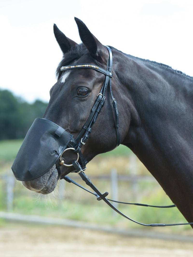 Busse Nüsternschutz Fly Professional  Gr. M (G-Pony), schwarz von Busse