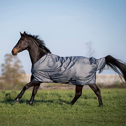 Outdoordecke WINDCHILL 50 von Busse