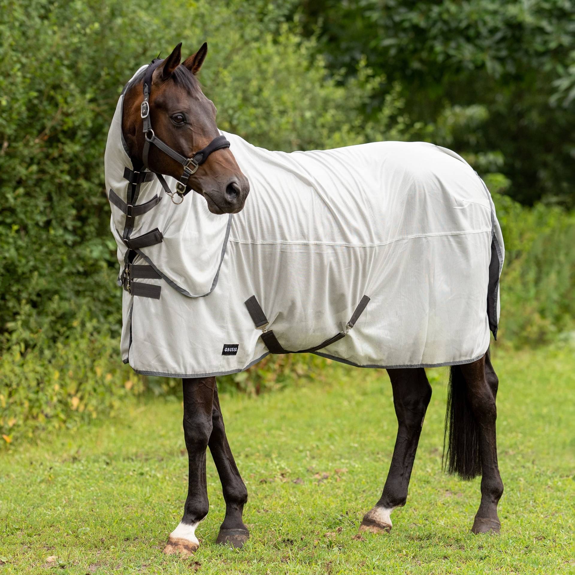 Busse Paddock-Fliegendecke Sunshine Ii  155cm / silber (anthrazit) von Busse
