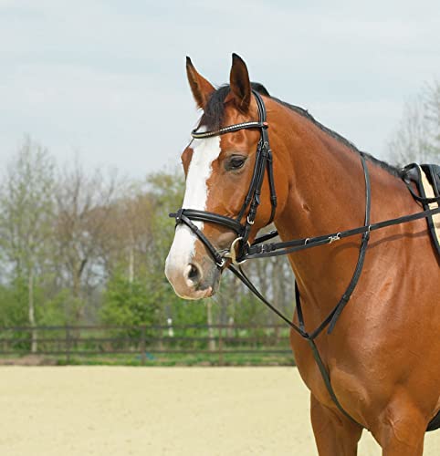 BUSSE Thiedemann-Kombination, Warmblut, schwarz/Beschläge vernickelt von Busse