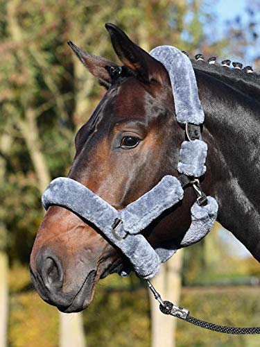 Halfter GUARD von Busse