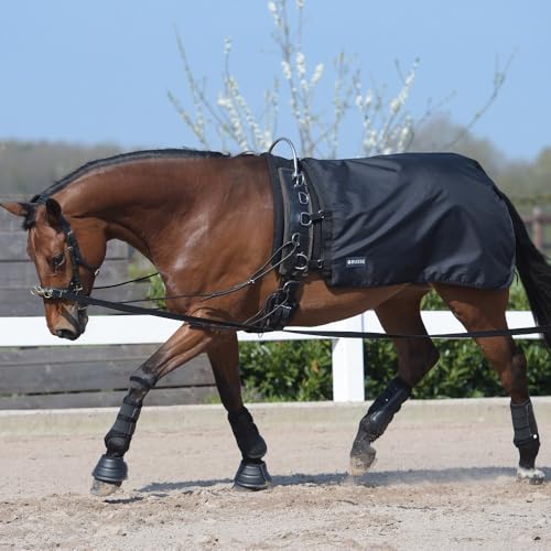 Longierdecke RAIN 50 Longierdecke RAIN 50 von Busse