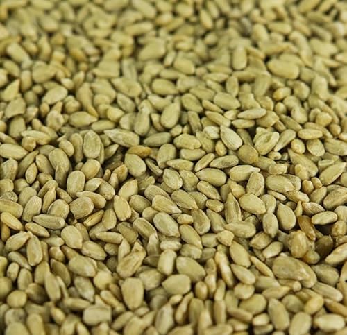 Beschäftigte Schnäbel Sonnenblumenkerne - Körner Vogelfutter Bäckereiqualität für Wildvögel (7.5kg) von BusyBeaks