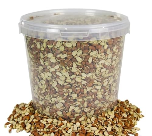 Beschäftigte Schnäbel Split-Erdnüsse - Frische Qualität für Wildvögel, Protein für Garten-Vögel Futter-Mischung (10L) von BusyBeaks