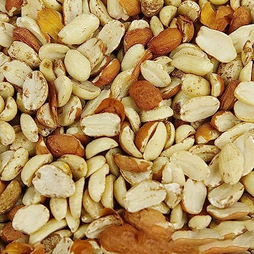 Beschäftigte Schnäbel Split-Erdnüsse - Frische Qualität für Wildvögel, Protein für Garten-Vögel Futter-Mischung (12.5kg) von BusyBeaks