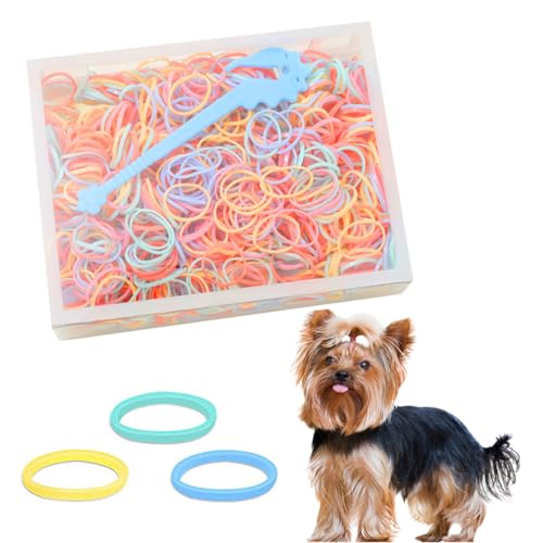 Butyeak Hundehaar Gummibänder, 1000 Stück Mini Haargummis, Mini Elastisch Bunt Haustiergummibänder,Kleine Hundehaarbänder, Kleine Haargummis,Gummiringe Klein, Durchsichtige von Butyeak