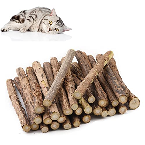 Butyeak Katzen Kauspielzeug, Katzen Sticks, Katzen Zahnpflege, 30 Stöcke Katzenspielzeug Natur gegen Mundgeruch, Dental Sticks Katze, Katzen Kauspielzeug für praktische Dental Care Bei Katzen Butyeak Katzen Kauspielzeug, Katzen Sticks, Katzen Zahnpflege, 30 Stöcke Katzenspielzeug Natur gegen Mundgeruch, Dental Sticks Katze, Katzen Kauspielzeug für praktische Dental Care Bei Katzen von Butyeak