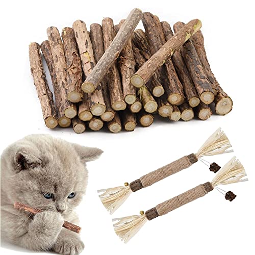 Butyeak Katzen Kauspielzeug, katzenminze Sticks, Katzen Zahnpflege, 30+2 Stück Katzenspielzeug Natur gegen Mundgeruch, Dental Sticks Katze, Katzen Kauspielzeug für praktische Dental Care Bei Katzen Butyeak Katzen Kauspielzeug, katzenminze Sticks, Katzen Zahnpflege, 30+2 Stück Katzenspielzeug Natur gegen Mundgeruch, Dental Sticks Katze, Katzen Kauspielzeug für praktische Dental Care Bei Katzen von Butyeak