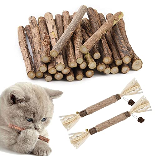 Butyeak Katzen Kauspielzeug, katzenminze Sticks, Katzen Zahnpflege, 30+2 Stück Katzenspielzeug Natur gegen Mundgeruch, Dental Sticks Katze, Katzen Kauspielzeug für praktische Dental Care Bei Katzen von Butyeak