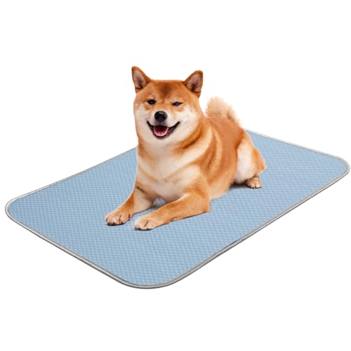 Sommer-Hunde-Kühlmatte, waschbar, Eisseide, selbstkühlende Matte für kleine Hunde und Katzen, 68,6 x 55,9 cm, Haustier-Schlafmatte für Kiste, Bett, Innen- und Außenbereich, Boden, Autositze (Blau Sommer-Hunde-Kühlmatte, waschbar, Eisseide, selbstkühlende Matte für kleine Hunde und Katzen, 68,6 x 55,9 cm, Haustier-Schlafmatte für Kiste, Bett, Innen- und Außenbereich, Boden, Autositze (Blau von Buvlnee
