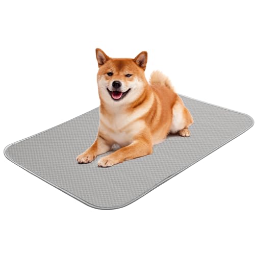 Sommer-Hunde-Kühlmatte, waschbar, Eisseide, selbstkühlende Matte für kleine Hunde und Katzen, 68,6 x 55,9 cm, Haustier-Schlafmatte für Kiste, Bett, Innen- und Außenbereich, Boden, Autositze (Grau Sommer-Hunde-Kühlmatte, waschbar, Eisseide, selbstkühlende Matte für kleine Hunde und Katzen, 68,6 x 55,9 cm, Haustier-Schlafmatte für Kiste, Bett, Innen- und Außenbereich, Boden, Autositze (Grau von Buvlnee