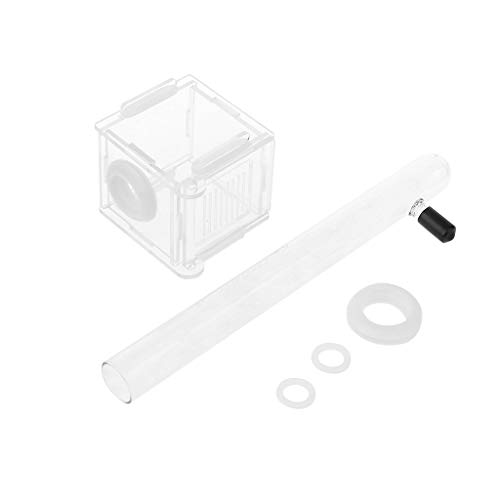 Buwei Ameisennest Glasrohr Mini Ameisennest mit Active Zone Insektenhaus Acryl Ameisenfarm Buwei Ameisennest Glasrohr Mini Ameisennest mit Active Zone Insektenhaus Acryl Ameisenfarm von Buwei