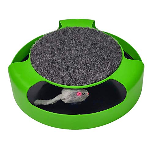Buyter Kätzchenspielzeug mit beweglicher Maus, spielt im Inneren, lustige Katzen-Jagdbox (Grün) von Buyter