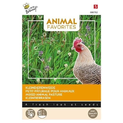 Samen für kleine Tiere, Landschildkröte, Huhn, Meerschweinchen, Kaninchen Samen für kleine Tiere, Landschildkröte, Huhn, Meerschweinchen, Kaninchen von Buzzy