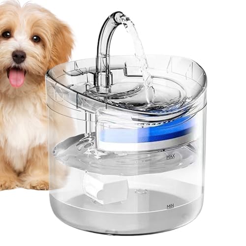 Bvizyelck Katzen Trinkbrunnen - Leicht Zu Reinigen & Leise,Automatischer 2 Liter Spender Für Haustiere Zuhause Hydration Bvizyelck Katzen Trinkbrunnen - Leicht Zu Reinigen & Leise,Automatischer 2 Liter Spender Für Haustiere Zuhause Hydration von Bvizyelck
