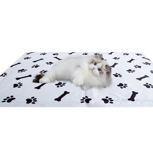 Bvizyelck Kühlmatte für Haustiere, Kühlmatte für Hunde | Katzenbettunterlage | Hundekäfig-Unterlage, Hunde-Kühlunterlage, Katzen-Schlafkissen für Haustiere, Käfig, Zwinger, Bett, Sofa Bvizyelck Kühlmatte für Haustiere, Kühlmatte für Hunde | Katzenbettunterlage | Hundekäfig-Unterlage, Hunde-Kühlunterlage, Katzen-Schlafkissen für Haustiere, Käfig, Zwinger, Bett, Sofa von Bvizyelck
