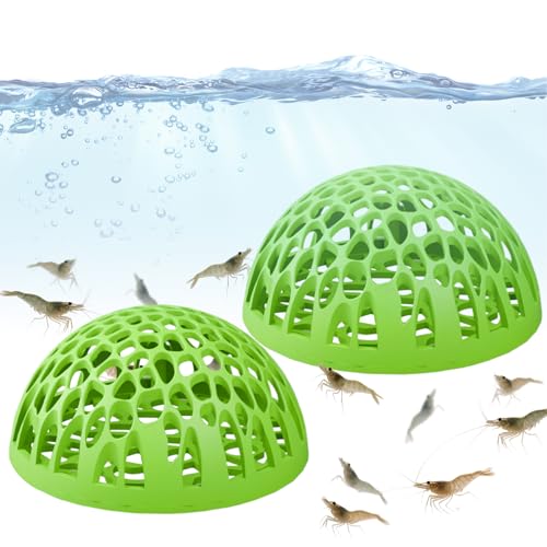 Bvizyelck Kuppel Versteck, Bettahabitat Aquarium Deko, Realistisches Kampffisch-Ruhehabitat 2 Stück für Enthusiasten tropischer Fische für Zuhause Büro Schulpult Aquarium kleine aquatische Bvizyelck Kuppel Versteck, Bettahabitat Aquarium Deko, Realistisches Kampffisch-Ruhehabitat 2 Stück für Enthusiasten tropischer Fische für Zuhause Büro Schulpult Aquarium kleine aquatische von Bvizyelck