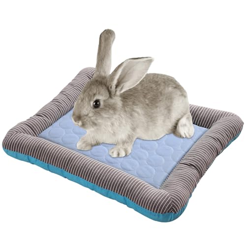 Bvizyelck -Seide Kühlmatte Für Katzen | Kühlmatte Für Haustiere,Verschleißfest Hundebett Chill Schlafunterlage Für Tiere Kleine Hunde von Bvizyelck