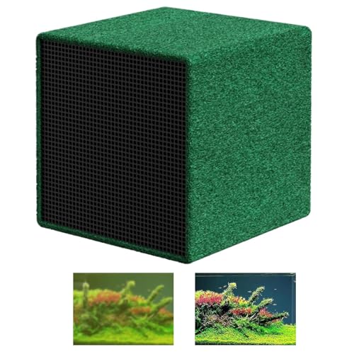 Bvizyelck Wasserreinigung Cube Aktivkohle Wasserreinigungsfilter Für Wasser Aquarium Aktivkohle Aquarium Filter Cube Wabenstruktur Holzkohle Deodorants Wasserreiniger Wasseraufbereitungswürfel von Bvizyelck