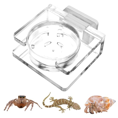 Futterspender Für Springspinnen Transparenter Acryl Futternapf Wassernapf Für Kleine Reptilie Magnetischer Wassernapf Für Spinnenkäfig Futternäpfe Für Springspinnen, Spinnenterrarium Futterspender Für Springspinnen Transparenter Acryl Futternapf Wassernapf Für Kleine Reptilie Magnetischer Wassernapf Für Spinnenkäfig Futternäpfe Für Springspinnen, Spinnenterrarium von Bvizyelck