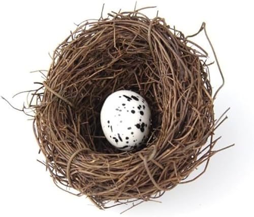 Künstliches Vogelnest, Vogelnest mit Eiern, trockenes natürliches Nest im Landhausstil, Simulationszweig für handgefertigte Ostern, Rattan, Osterzubehör, Gartendekoration (6 cm) von Bwexxt