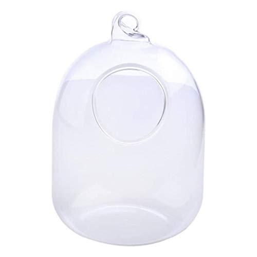 Hängender transparenter Glasfisch zum Aufhängen für Aquarien, Fließflasche, Petroleum Jelly 100 ml von Bydezcon