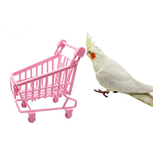 Papagei Trick Tischpuzzle Trolley Spielzeug für kleine Vögel Sittiche Eclectus Conures Papagei Trick Tischpuzzle Trolley Spielzeug für kleine Vögel Sittiche Eclectus Conures von Bydezcon
