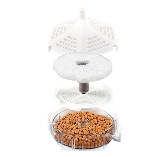 Byeaon Aquarium-Filter, Schwammfilter, Aquarium-Wartungsausrüstung, 9 x 8 x 7,5 cm, einfache Installation, kompaktes Design für Aquarium-Profis Byeaon Aquarium-Filter, Schwammfilter, Aquarium-Wartungsausrüstung, 9 x 8 x 7,5 cm, einfache Installation, kompaktes Design für Aquarium-Profis von Byeaon