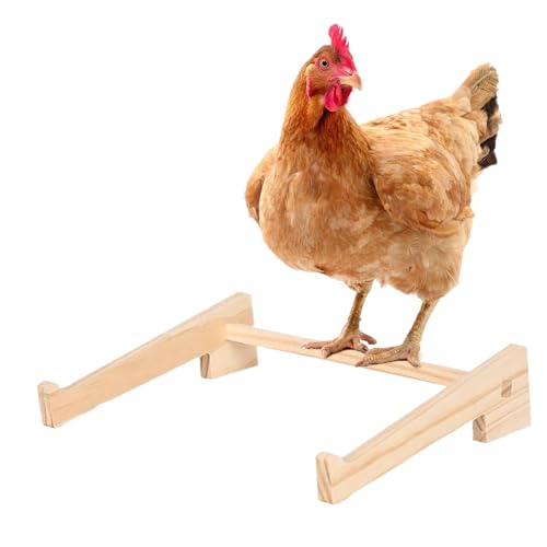 Byeaon Hühnerstall-Sitzstange – Geflügel-Trainingsstange aus Holz, Hühnersitz, Spieltraining, Roosting, Aktivitätsausrüstung für Vögel, , Geflügel, Stall, Brutküken von Byeaon