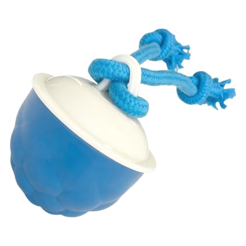 Byeaon Interaktives Hundetayszeug, Motion Activated Hundeball, Haustiertraining Light Ball, Anreicherungsspielwerkzeug, Sound Rolling Chew Toy, 8,5 x 7 cm, für Innenräume Byeaon Interaktives Hundetayszeug, Motion Activated Hundeball, Haustiertraining Light Ball, Anreicherungsspielwerkzeug, Sound Rolling Chew Toy, 8,5 x 7 cm, für Innenräume von Byeaon
