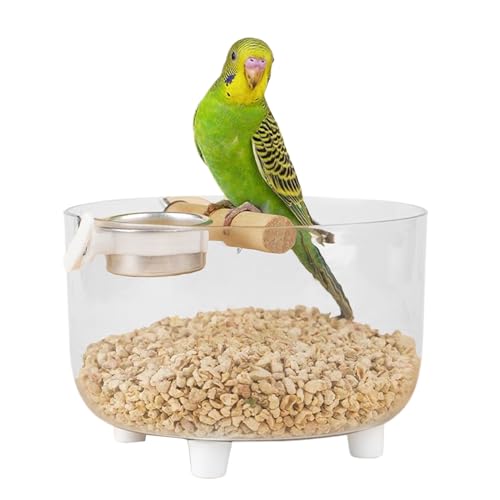 -Toilettentrainingstablett, Stabiles Tabletop -Design, 15x15x10 cm, Vogel -Desktop -Trainingsständer Mit Abnehmbarem Edelstahl -Doppelschalen -Futtermittel, Papageienspielständer, Robustes M -Toilettentrainingstablett, Stabiles Tabletop -Design, 15x15x10 cm, Vogel -Desktop -Trainingsständer Mit Abnehmbarem Edelstahl -Doppelschalen -Futtermittel, Papageienspielständer, Robustes M von Byeaon