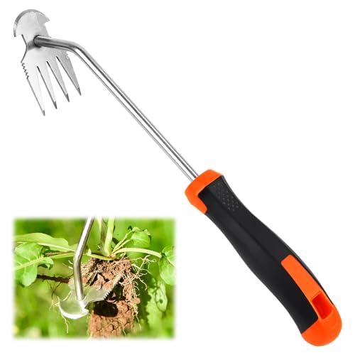 Byffoer Gartenarbeit Hand Unkrautstecher,Unkraut Entferner Gerät Unkrautjäter,Gartenwerkzeug Fugenreiniger Unkraut Unkraut Entferner Gerät Hand Unkraut Jäten Werkzeug Mit Stiel,Gummigriff 4 Zähne Byffoer Gartenarbeit Hand Unkrautstecher,Unkraut Entferner Gerät Unkrautjäter,Gartenwerkzeug Fugenreiniger Unkraut Unkraut Entferner Gerät Hand Unkraut Jäten Werkzeug Mit Stiel,Gummigriff 4 Zähne von Byffoer