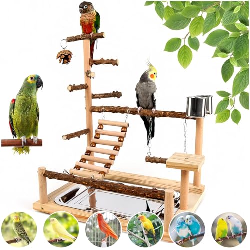 Vogelspielplatz, Papageien-Sitzstange, Naturholz, Vogelspielständer für Nymphensittich-Holz, Sitzstange, Fitnessstudio, Laufstall, Leiter mit abnehmbarem Tablett und 2 Edelstahlbecher, von Bygytyo