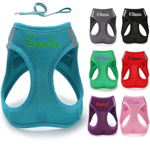 Hundegeschirr mit Leine, personalisierbar, kein Ziehen, Hundegeschirr und Leine, individuelle Namen, Haustierweste für kleine, mittelgroße und große Hunde und Katzen, Haustiergeschenk (XL) von Bykiyevm