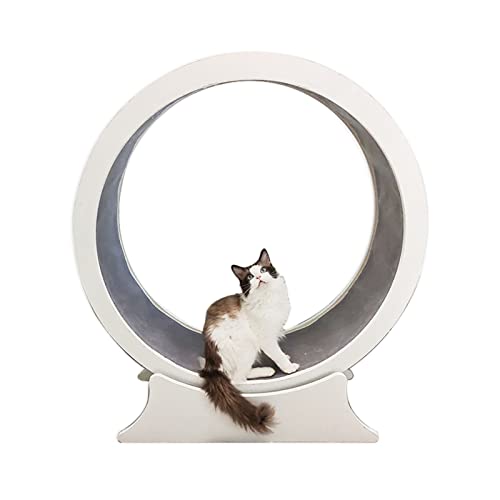 katzenlaufrad Elegantes Design Massivholz Katzenlaufband, Haustierfreundliches Super-Loading-Katzenlaufrad, Hamsterrad für Kätzchen, Kratzbaum für Katzen (Size : 108cm (42 1/4")) von C'ESTBON