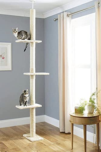 CA&T Luxus vom Boden bis zur Decke | Höhenverstellbarer Katzenkletterturm mit Kratzbaum | Katzentürme für Indoor-Katzen mit Mehreren Ebenen & Kratzbäumen von CA&T