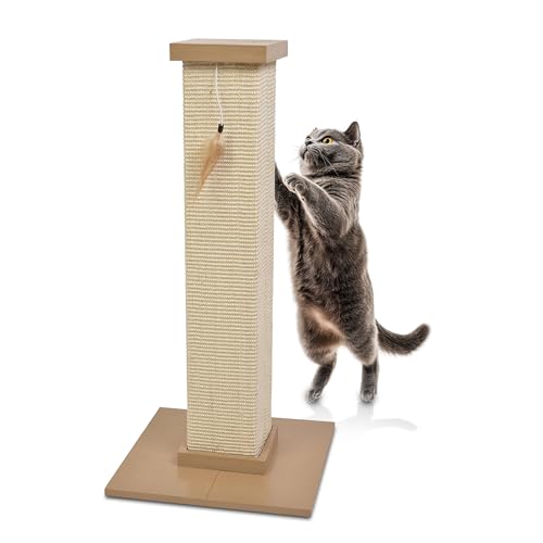 CA&T Robuster großer Katzenkratzstamm | Ultimativer Kratzstamm für Katzen, Kratzstamm in Beige aus strapazierfähigem Material für den intensiven Gebrauch | Kratzsäule perfekt für Haus/Freigängerkatzen CA&T Robuster großer Katzenkratzstamm | Ultimativer Kratzstamm für Katzen, Kratzstamm in Beige aus strapazierfähigem Material für den intensiven Gebrauch | Kratzsäule perfekt für Haus/Freigängerkatzen von CA&T