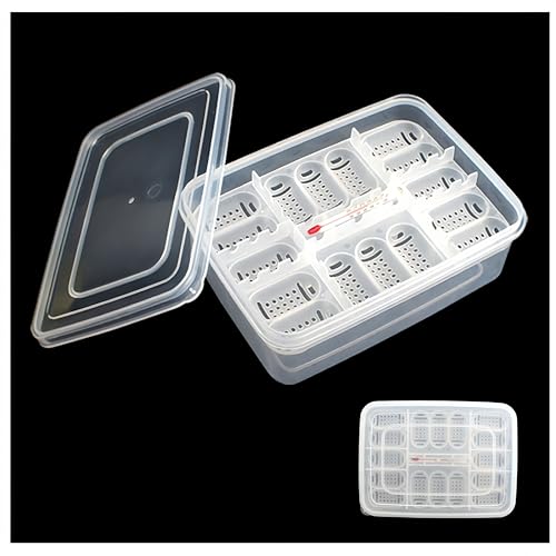 Brutkasten, Brutkasten für Reptilieneier, Brutkasten für Reptilien, transparenter Brutkasten für Eier mit 16 Gittern - Inkubationsbox, Bruttablett Brutkasten, Brutkasten für Reptilieneier, Brutkasten für Reptilien, transparenter Brutkasten für Eier mit 16 Gittern - Inkubationsbox, Bruttablett von CAASFOOY