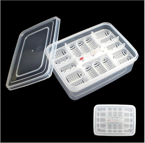 Reptilien-Zuchtbox, 16 Gitter Brutkasten für Reptilien-Eier, transparente Brutbox für Reptilieneier - Inkubationsbox für die Entwicklung von Reptilieneiern, Brutkasten, Bruttablett Reptilien-Zuchtbox, 16 Gitter Brutkasten für Reptilien-Eier, transparente Brutbox für Reptilieneier - Inkubationsbox für die Entwicklung von Reptilieneiern, Brutkasten, Bruttablett von CAASFOOY