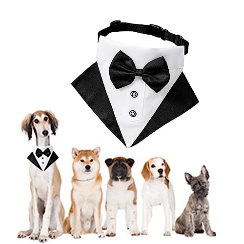 Hund Smoking Bandana Halsband, CAASFOOY Haustier Dreieck Schal, Fliege Hunde Hochzeit, Verstellbares Hunde Hochzeits Bandana Halsband mit Fliege für kleine und mittelgroße Hunde und Katzen Haustiere Hund Smoking Bandana Halsband, CAASFOOY Haustier Dreieck Schal, Fliege Hunde Hochzeit, Verstellbares Hunde Hochzeits Bandana Halsband mit Fliege für kleine und mittelgroße Hunde und Katzen Haustiere von CAASFOOY