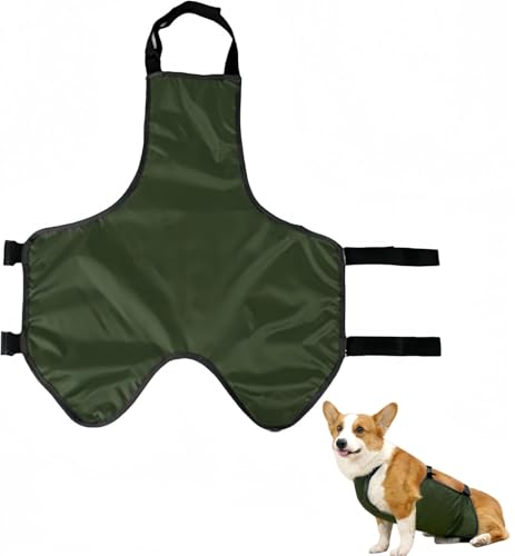 Bauchschutz, Hunde Bauchschutz, Hunde Bauchband, Lätzchen für Hunde, warme Weste für den Bauch des Haustiers, Bauchschutz des Hundes, Bauchband des Hundes, Pet Belly Cover Transpiring Protector Bauchschutz, Hunde Bauchschutz, Hunde Bauchband, Lätzchen für Hunde, warme Weste für den Bauch des Haustiers, Bauchschutz des Hundes, Bauchband des Hundes, Pet Belly Cover Transpiring Protector von CAASFOOY